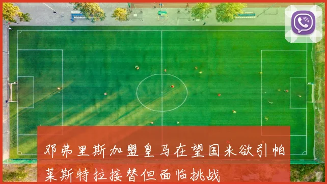 邓弗里斯加盟皇马在望国米欲引帕莱斯特拉接替但面临挑战
